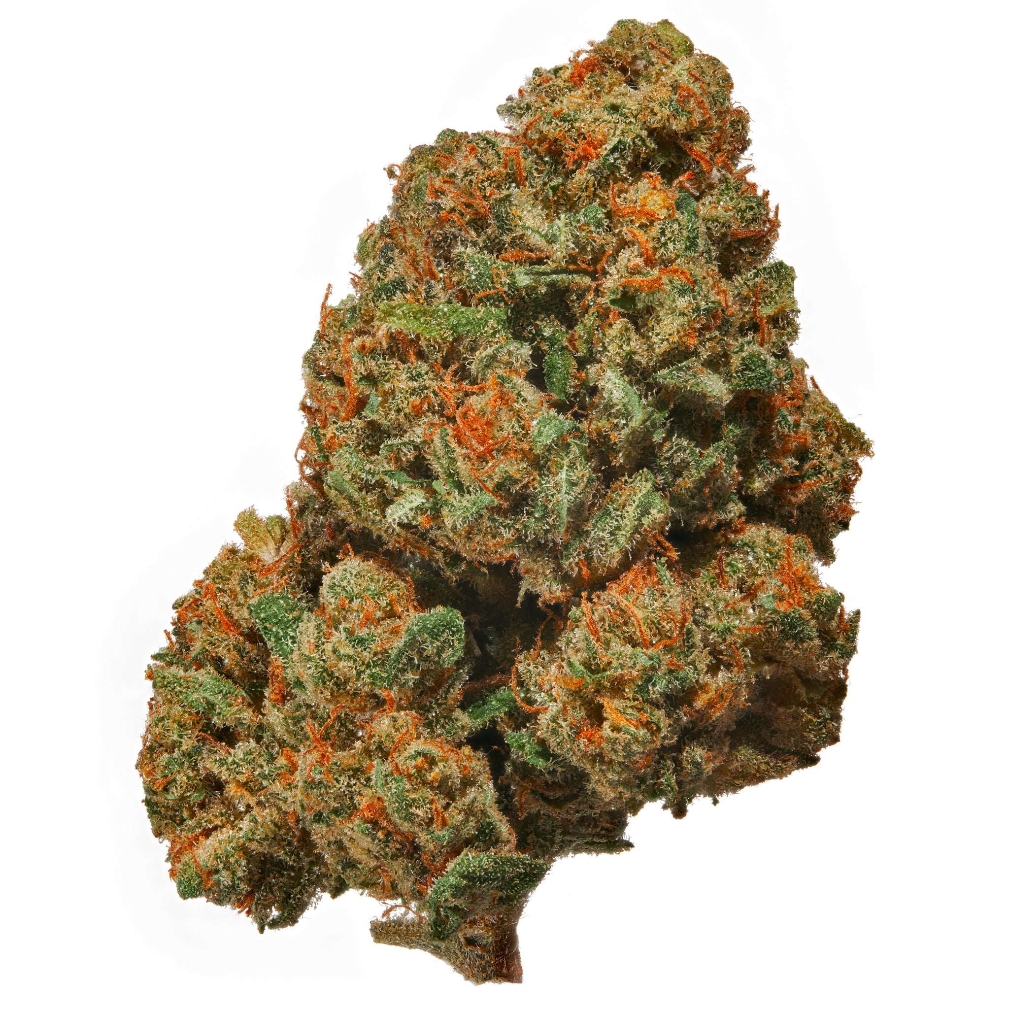 Top Shelf Marijuana